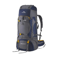 Aerolink 60 L Backpack with Lightweight Build & Water-Resistant Fabric - Grey